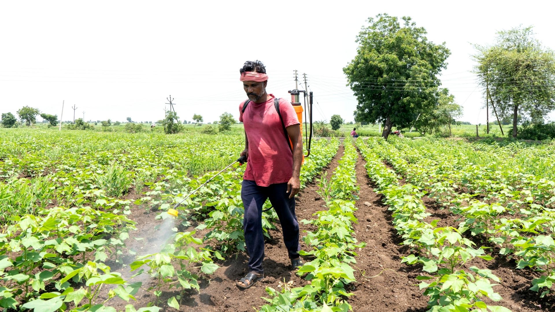 Integrated Pest Management: Monitoring in Action