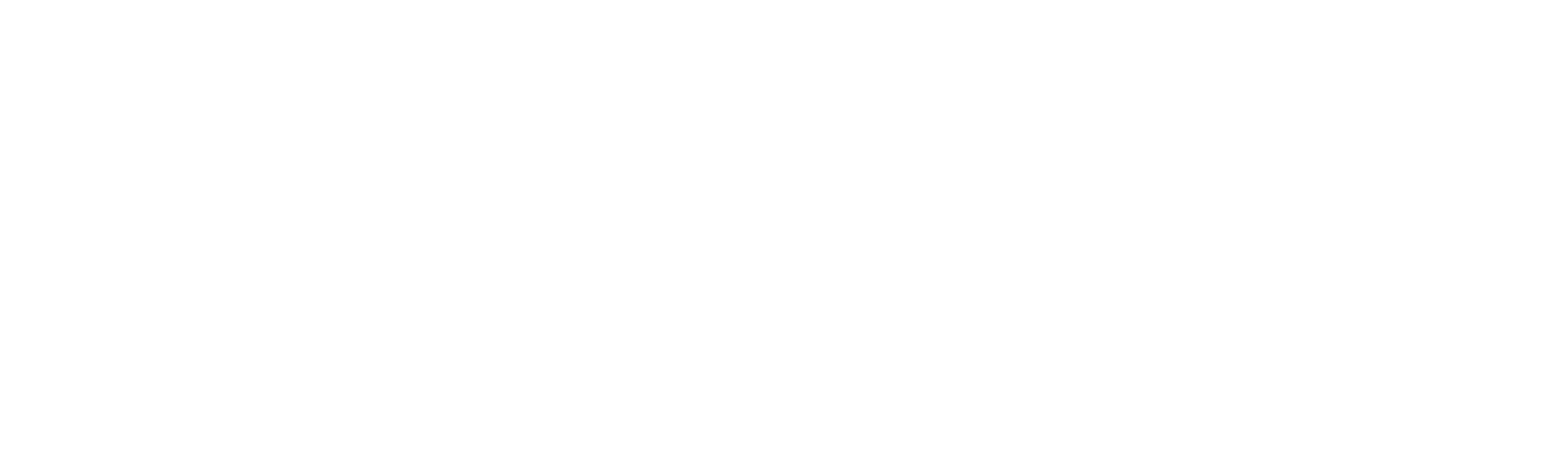 AN Logo