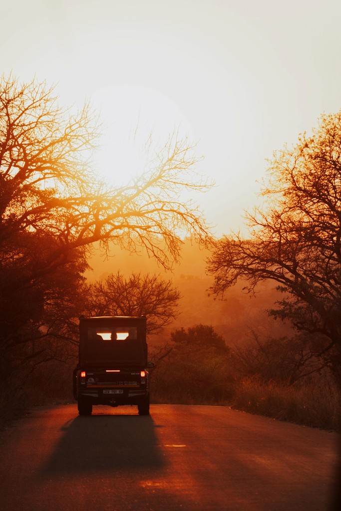 Safari Game Drive Sunset
