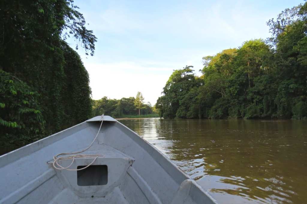 Kinabatangan boat tour, Borneo