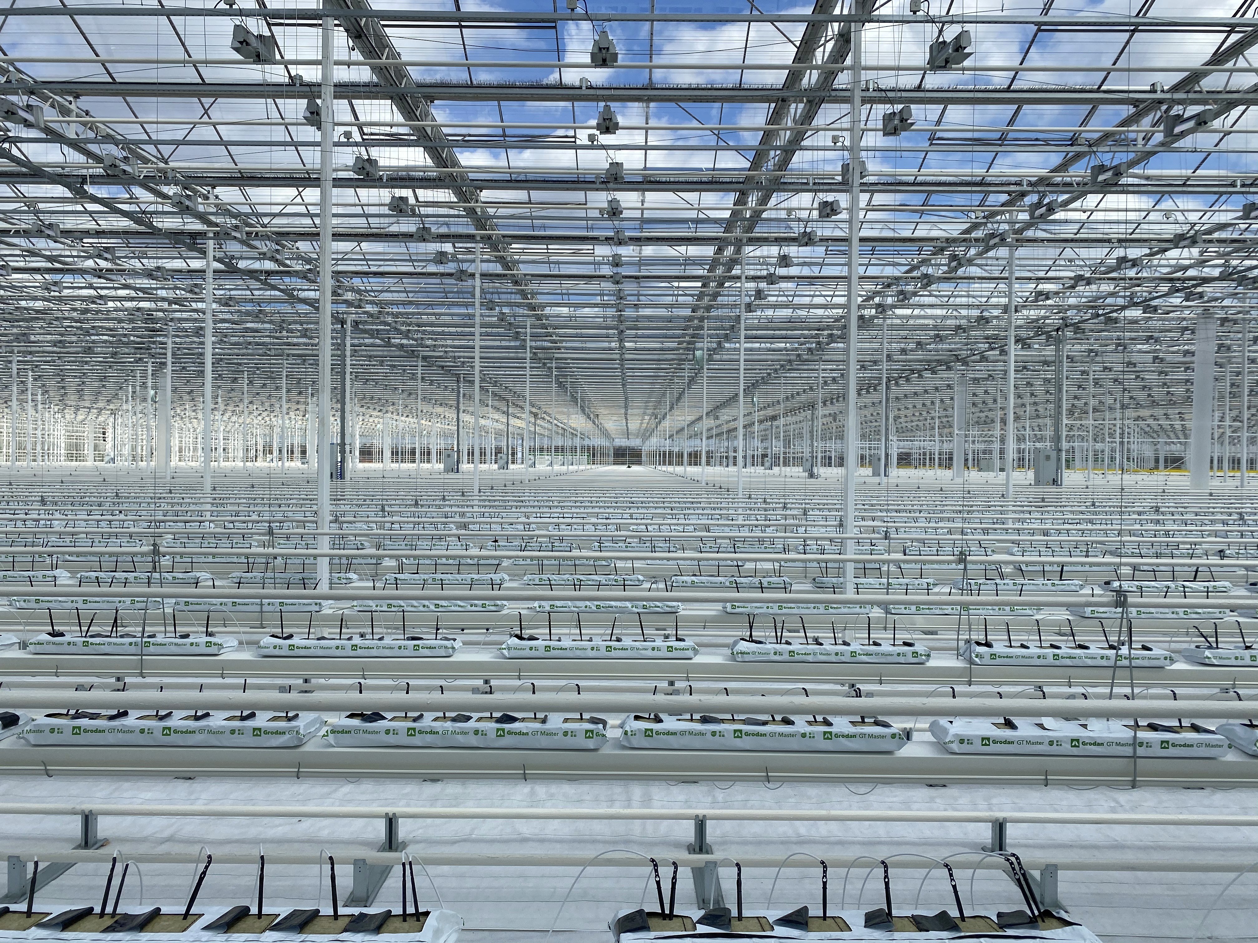 Horti XS projects ProCann