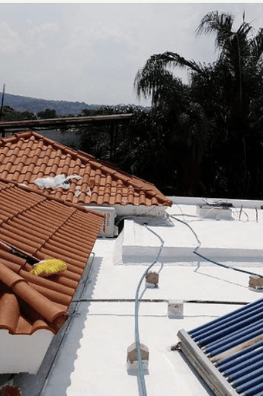 Woman In The Glass Way