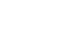 Hahn IT Systemhaus