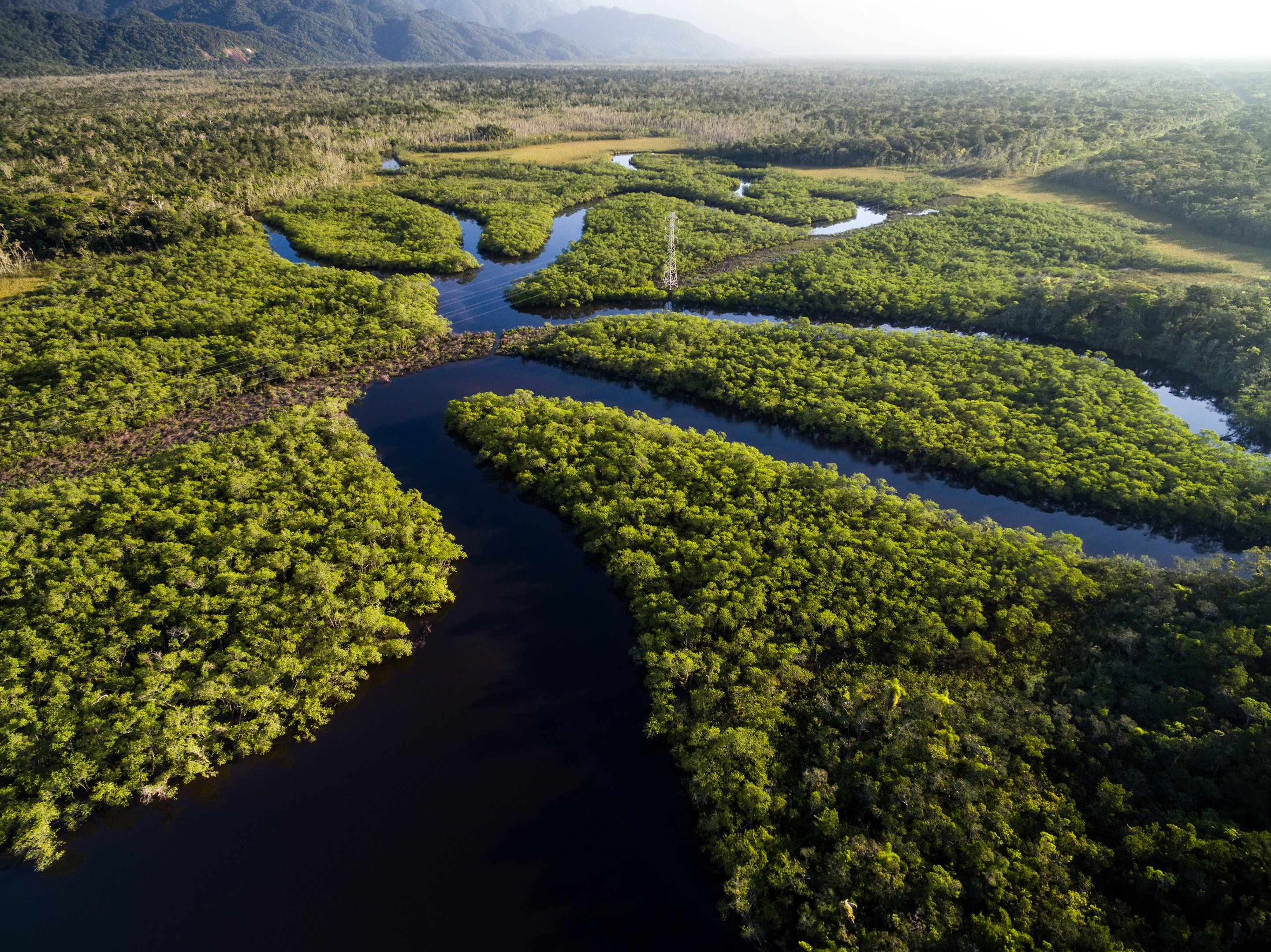 Você sabia que o Rio Amazonas é mais fundo que a Estátua da Liberdade? -  Mega Curioso