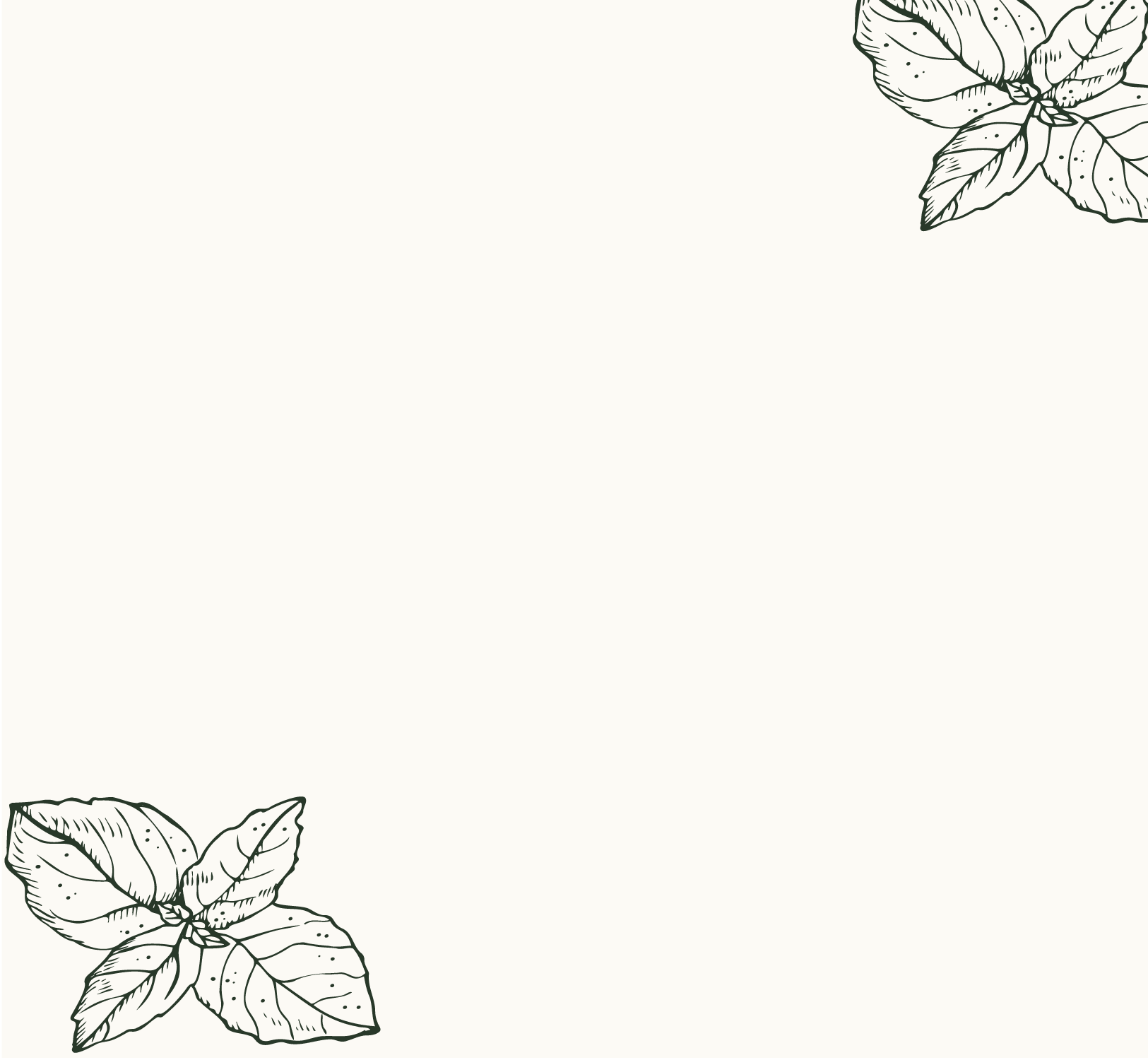 Fond blanc avec 2 feuilles de menthe