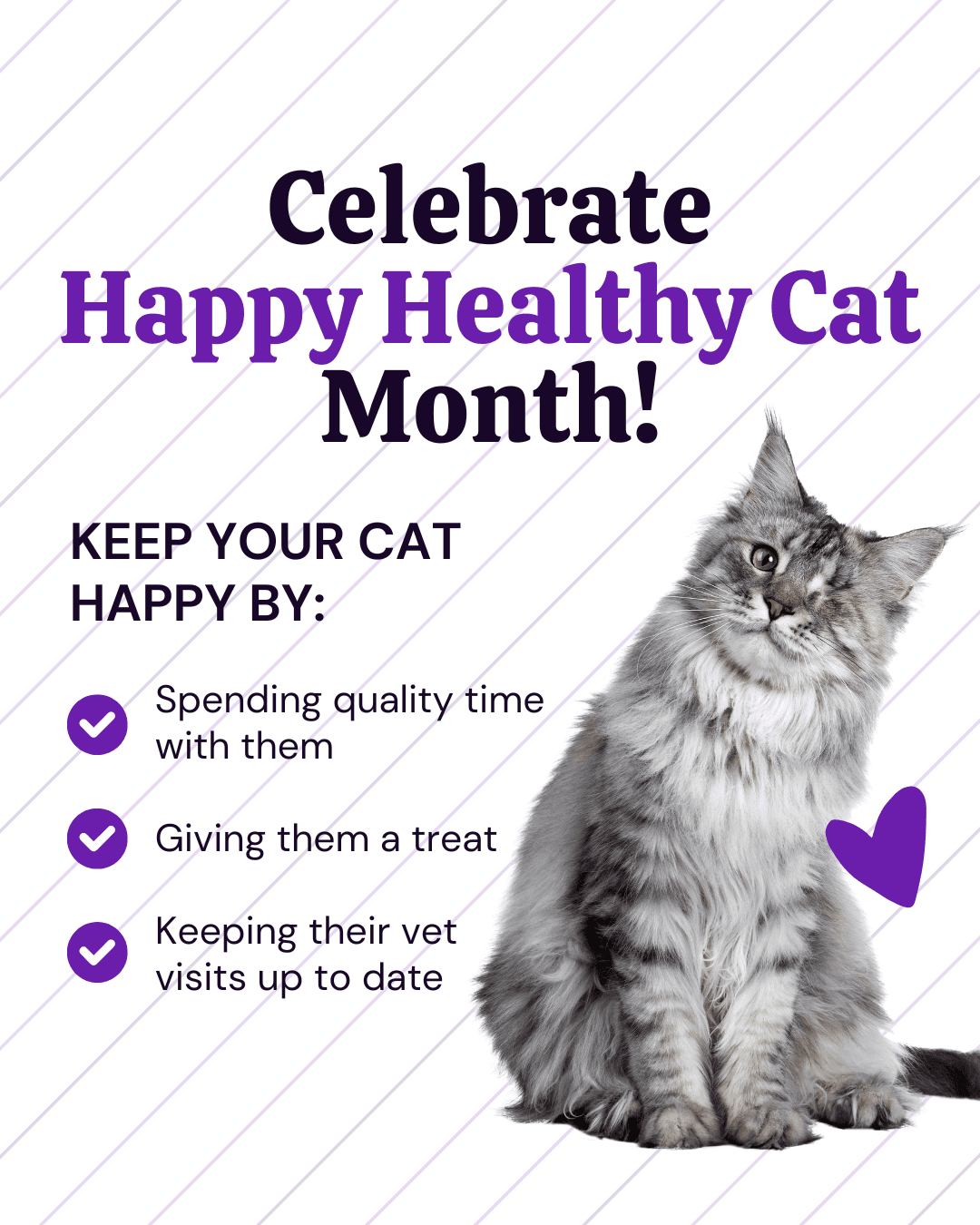 Happy Healthy Cat Month