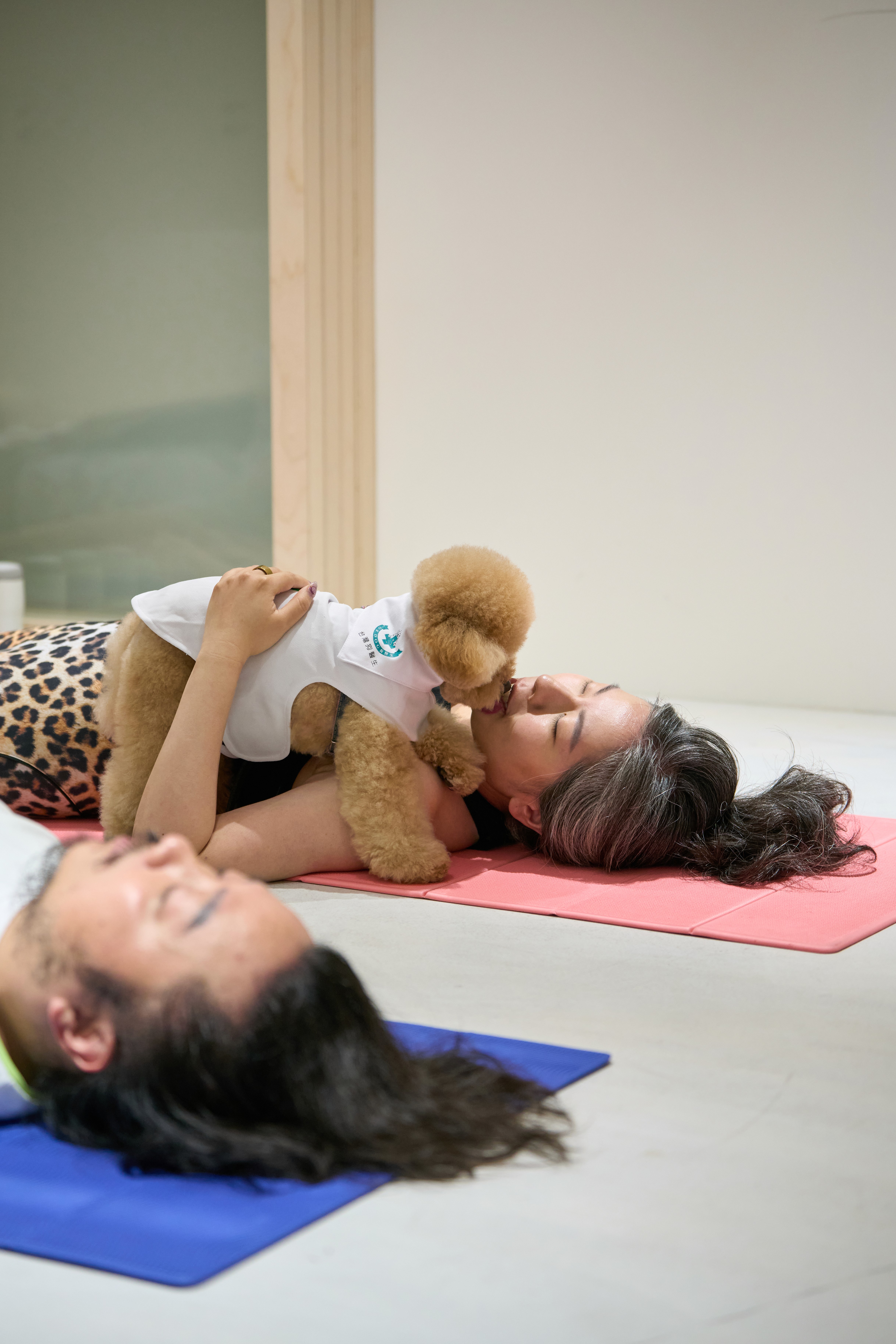 image of a little girl in a dresss in a vineyard