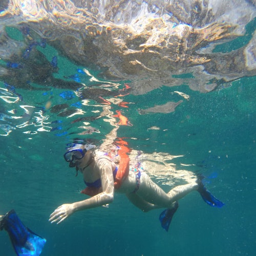 마스크, 스노클, 파란색 오리발을 착용하고 맑은 푸른 물 속에서 스노클링을 즐기는 사람.