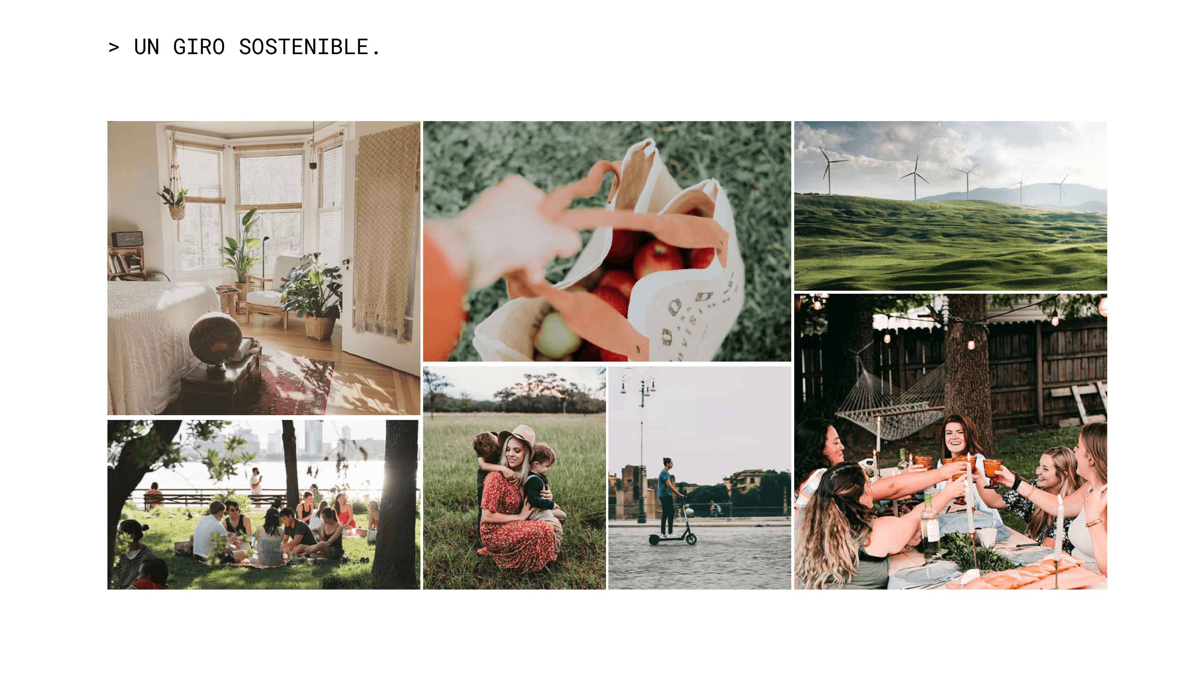 The image featured in the carousel #4