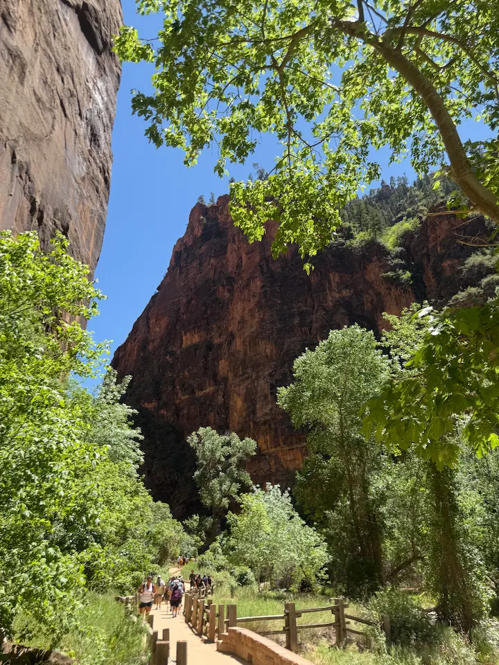 A narrow trail running through a slot canyon with steep rock walls on both sides and trees hanging over the path.