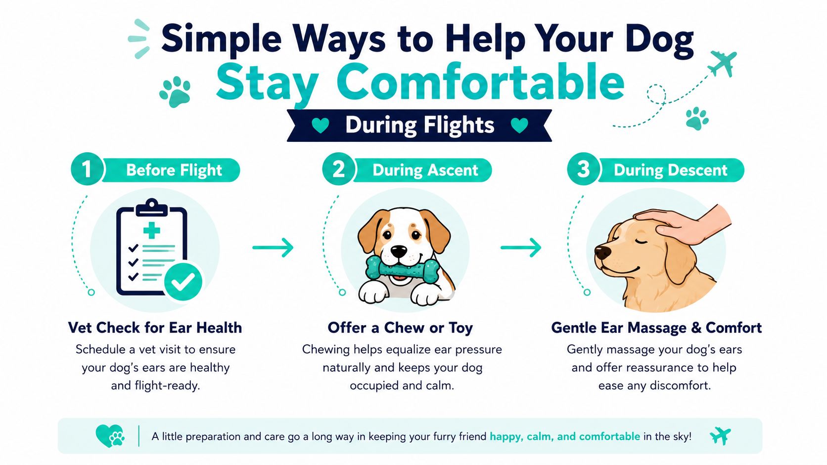 An infographic showing three tips to help dogs stay comfortable during airplane flights, including vet checks and massages.