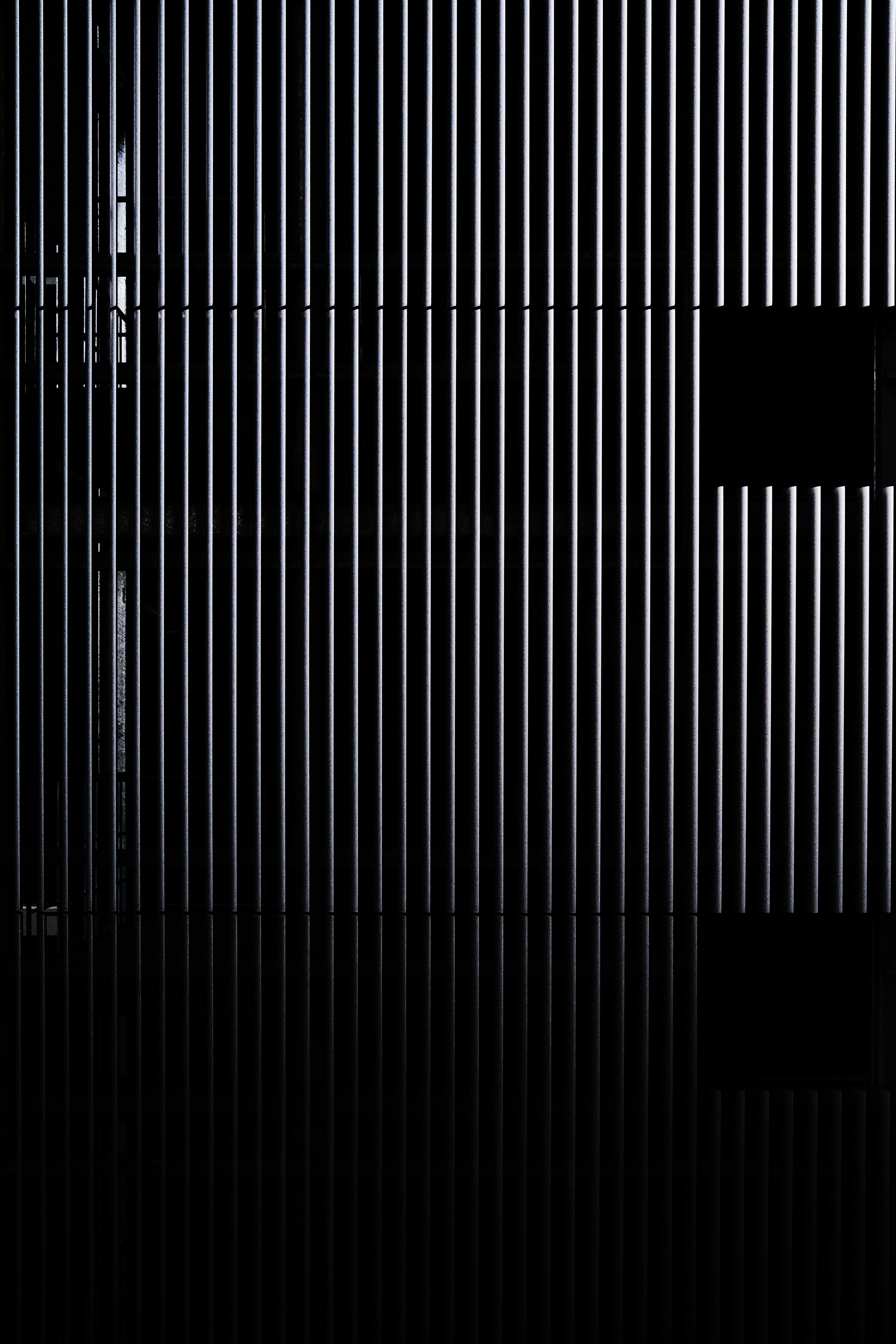 Aerial view of a winding road surrounded by dense green and yellow trees, showcasing nature’s vibrant colors.