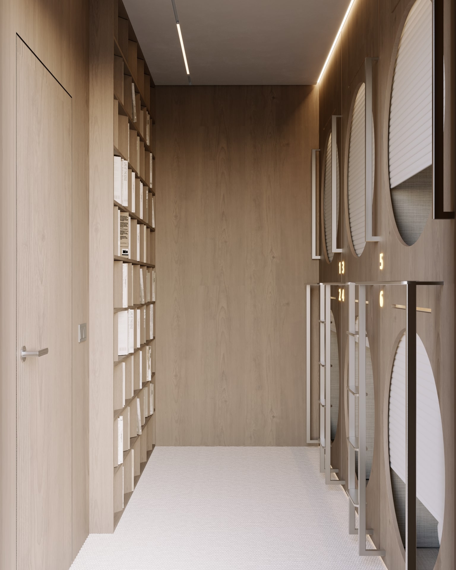 Modern hallway with built-in bookshelves, round mirrors, and clothing racks. Interior design.