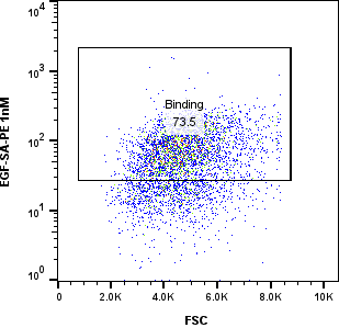 1 nM EGF EGF yeast display FACS binding plot thumbnail
