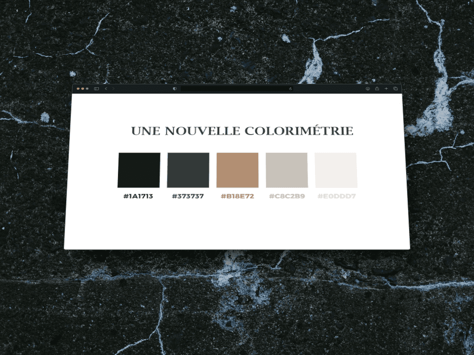 Couleur de la nouvelle charte graphique de maison empereur