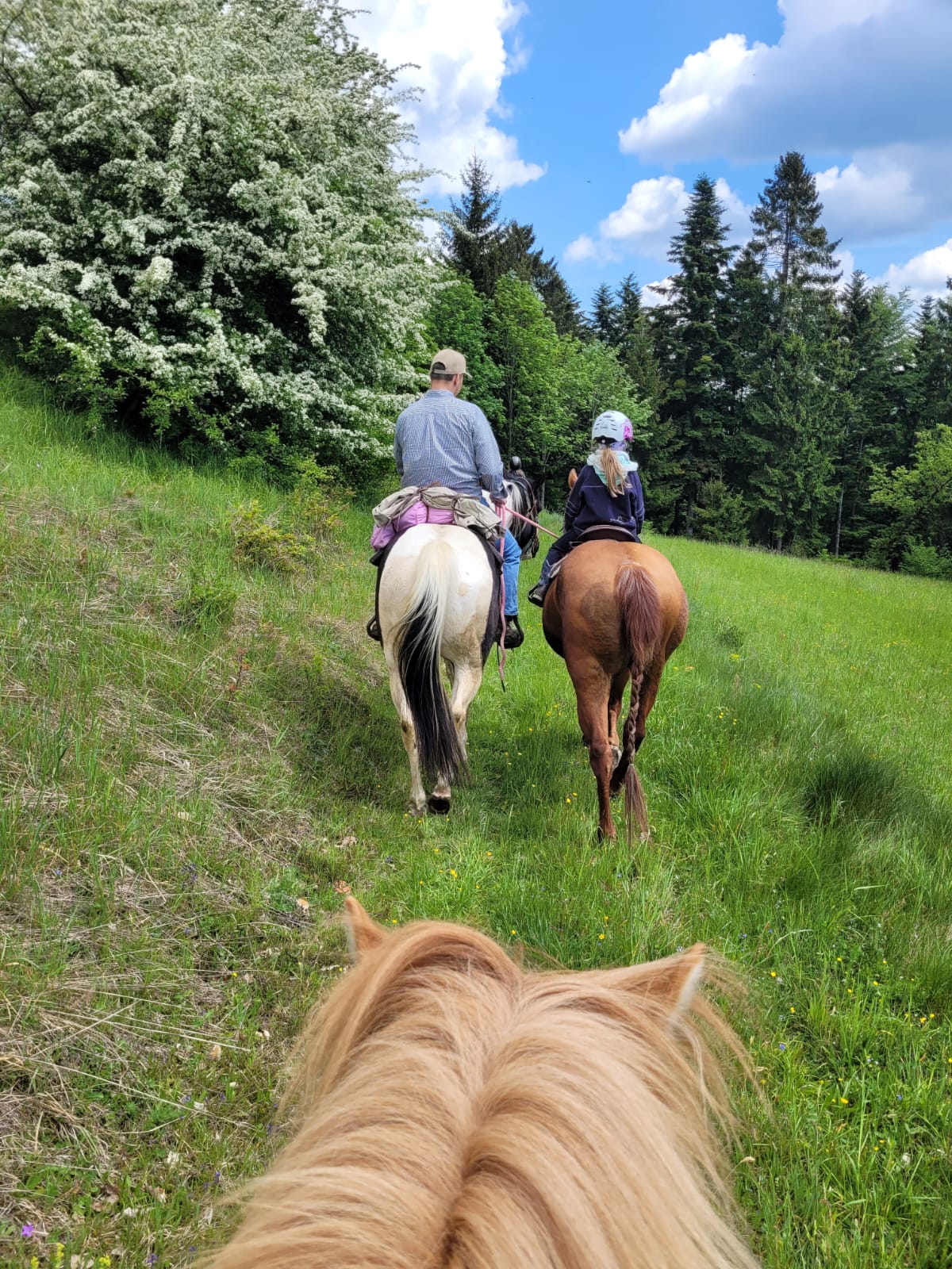 A smiling young man with crossed arms, wearing a plaid shirt and white t-shirt, poses against a dark background.