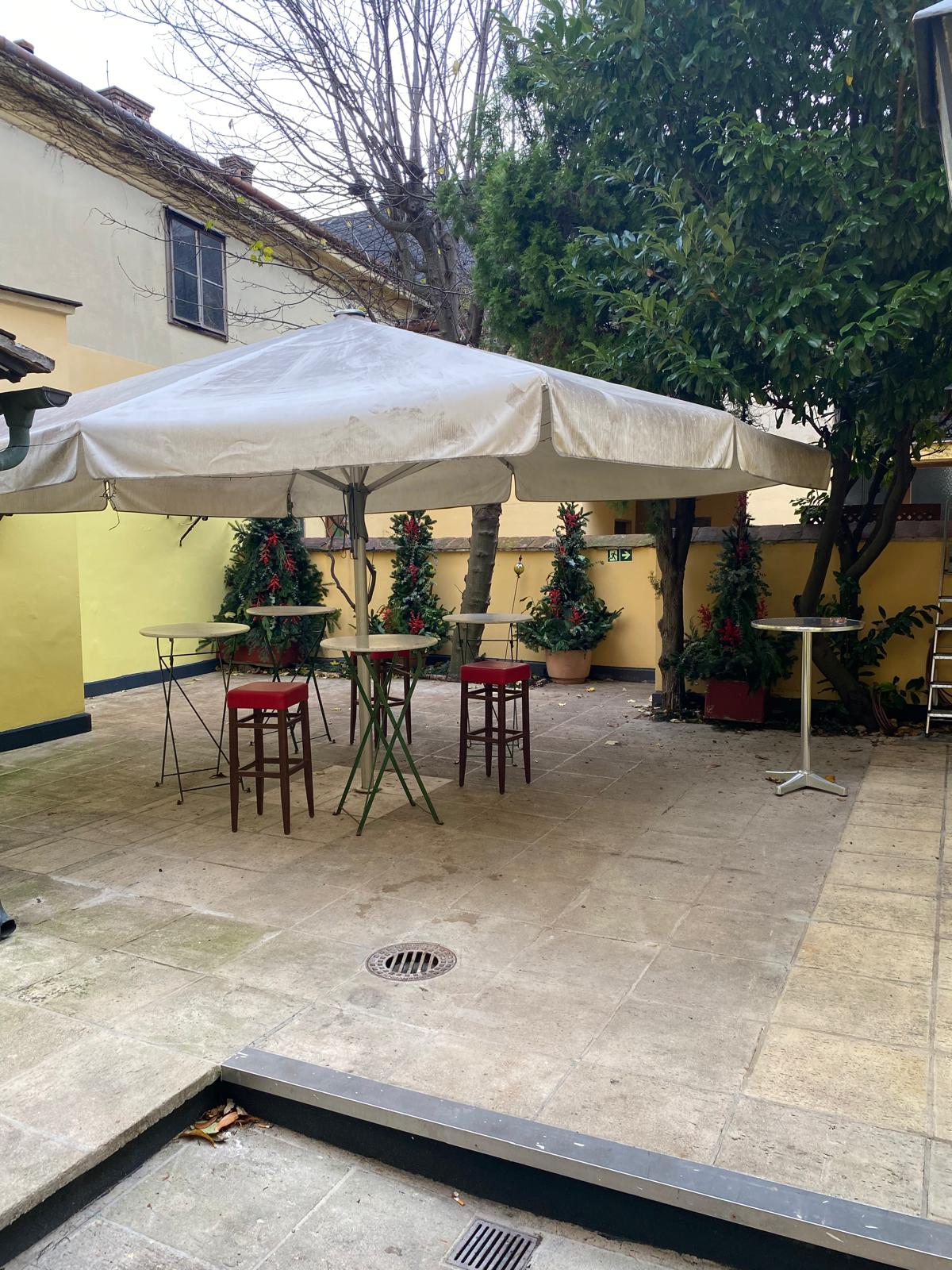 White plate with roasted chicken served in a golden sauce with herbs and capers, placed on a terrazzo tabletop in sunlight.