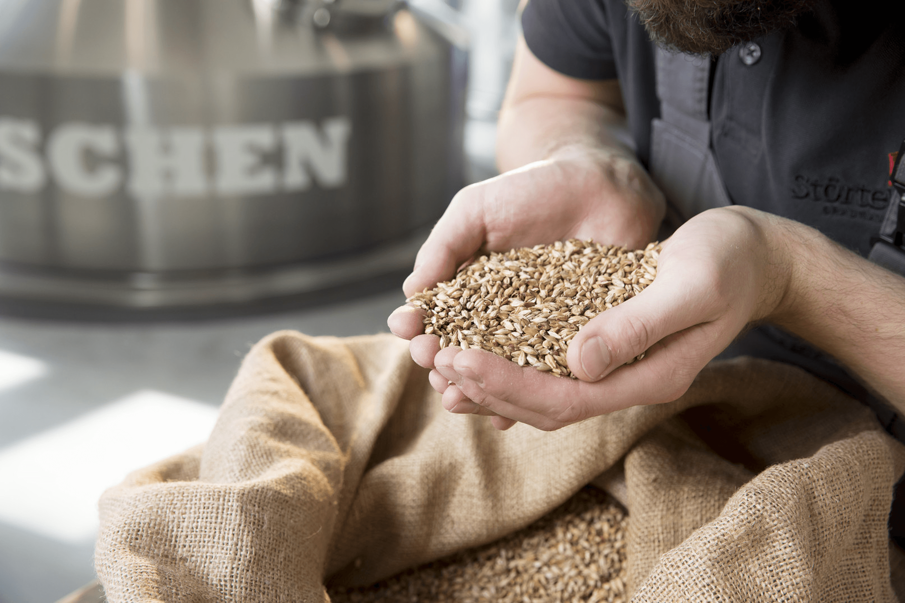 Hands holding malted barley over a burlap sack.