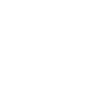 Orbit Icon 1