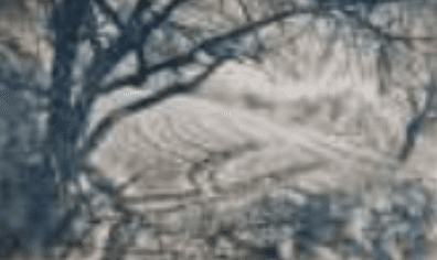 herd of sheep on road painting