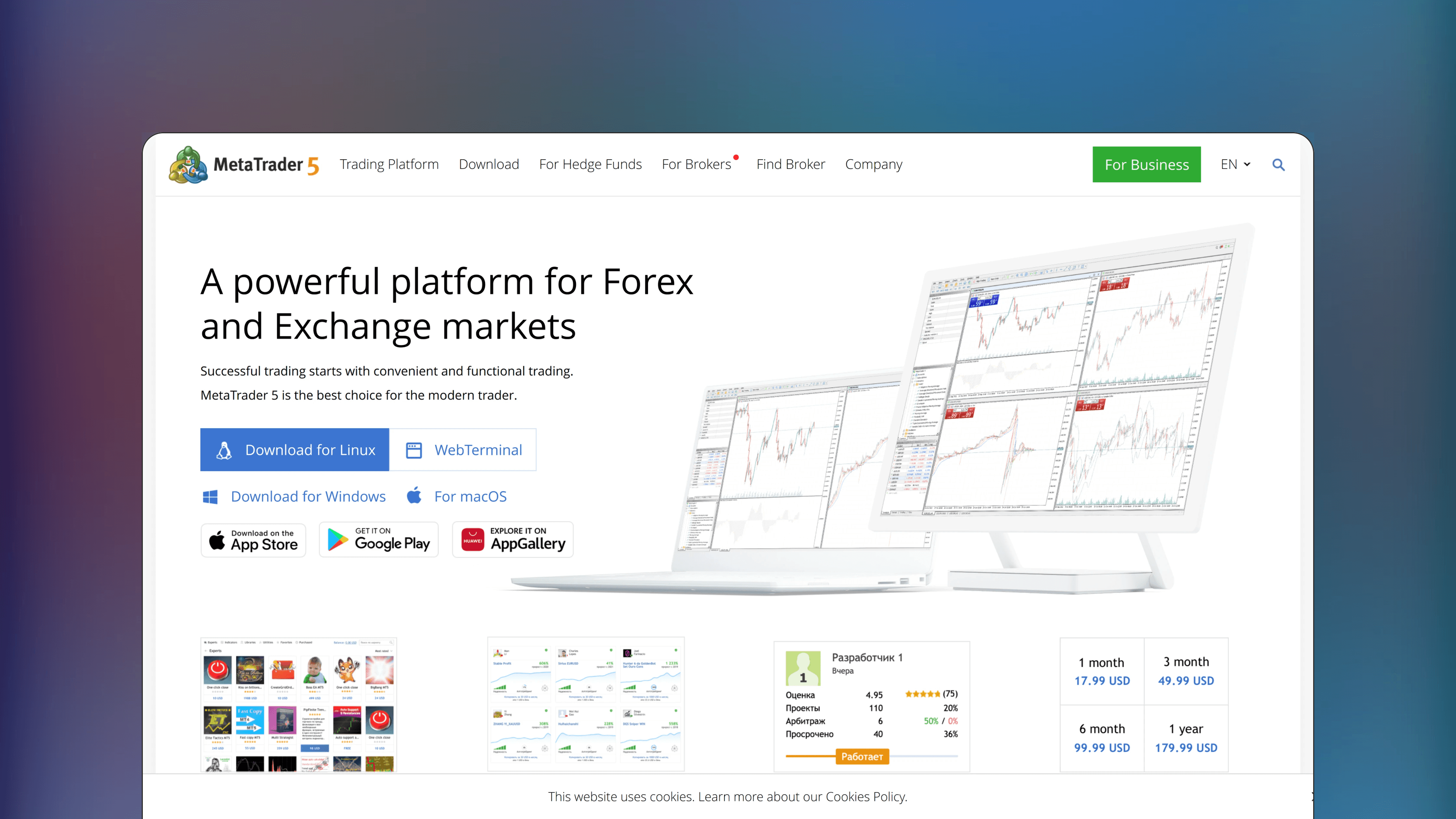 Website preview of MetaTrader, technical analysis charting platform showing multi-asset charts for forex, shares and futures.