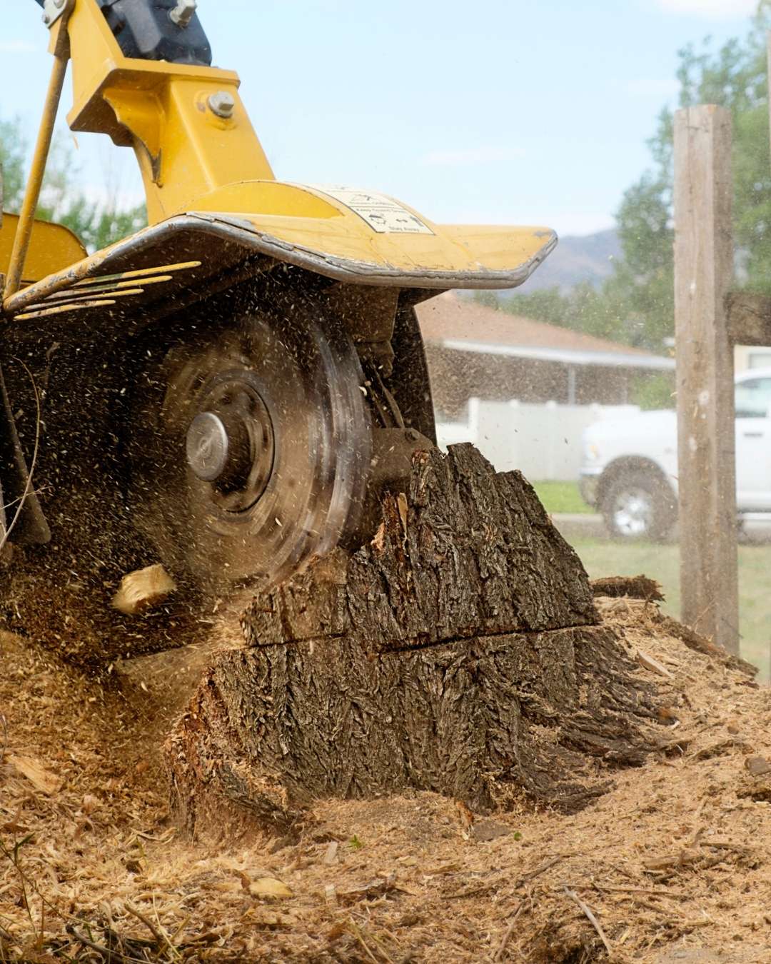 How Can We Help With Residential Tree Removal 
