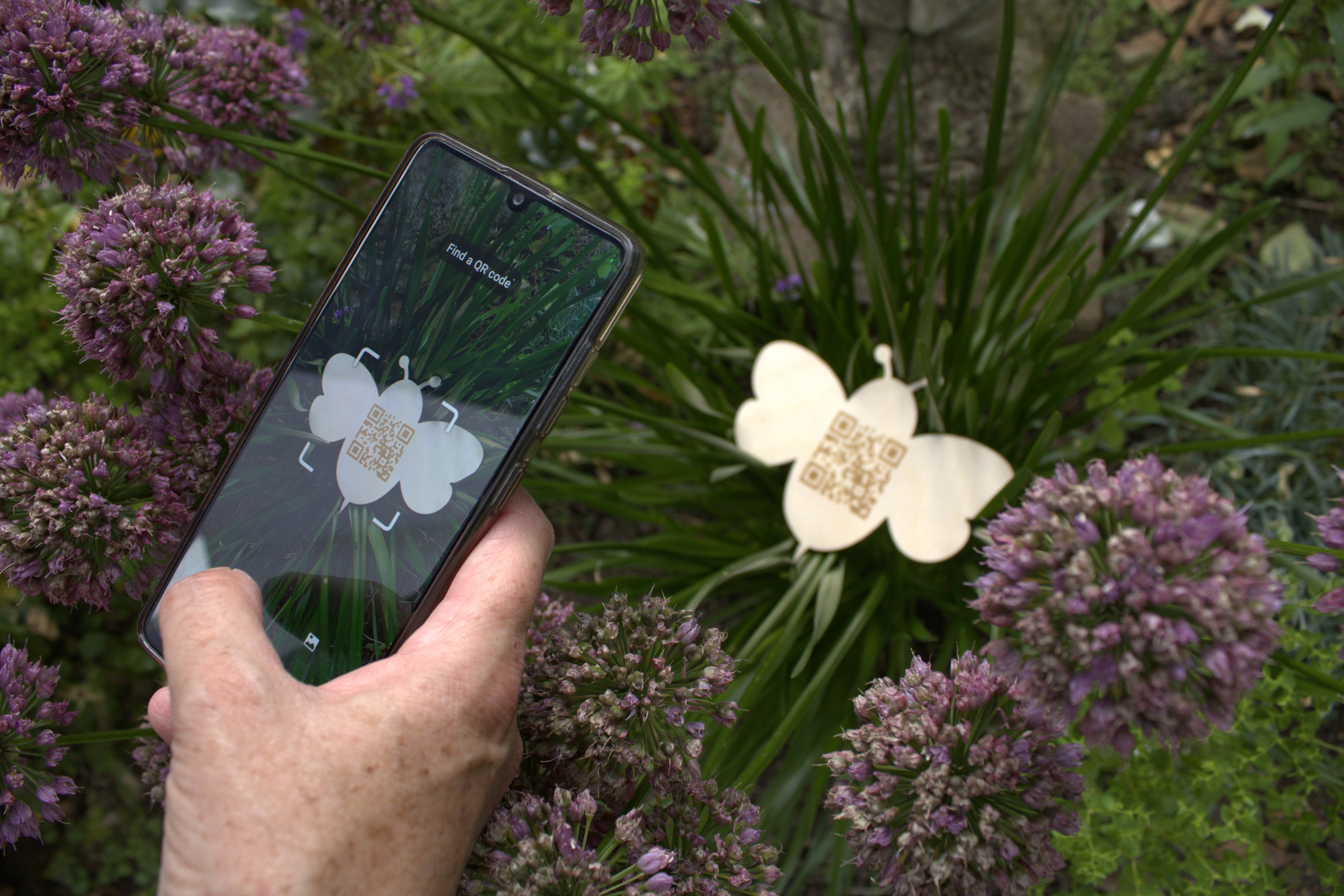 Featured Project Cover Image