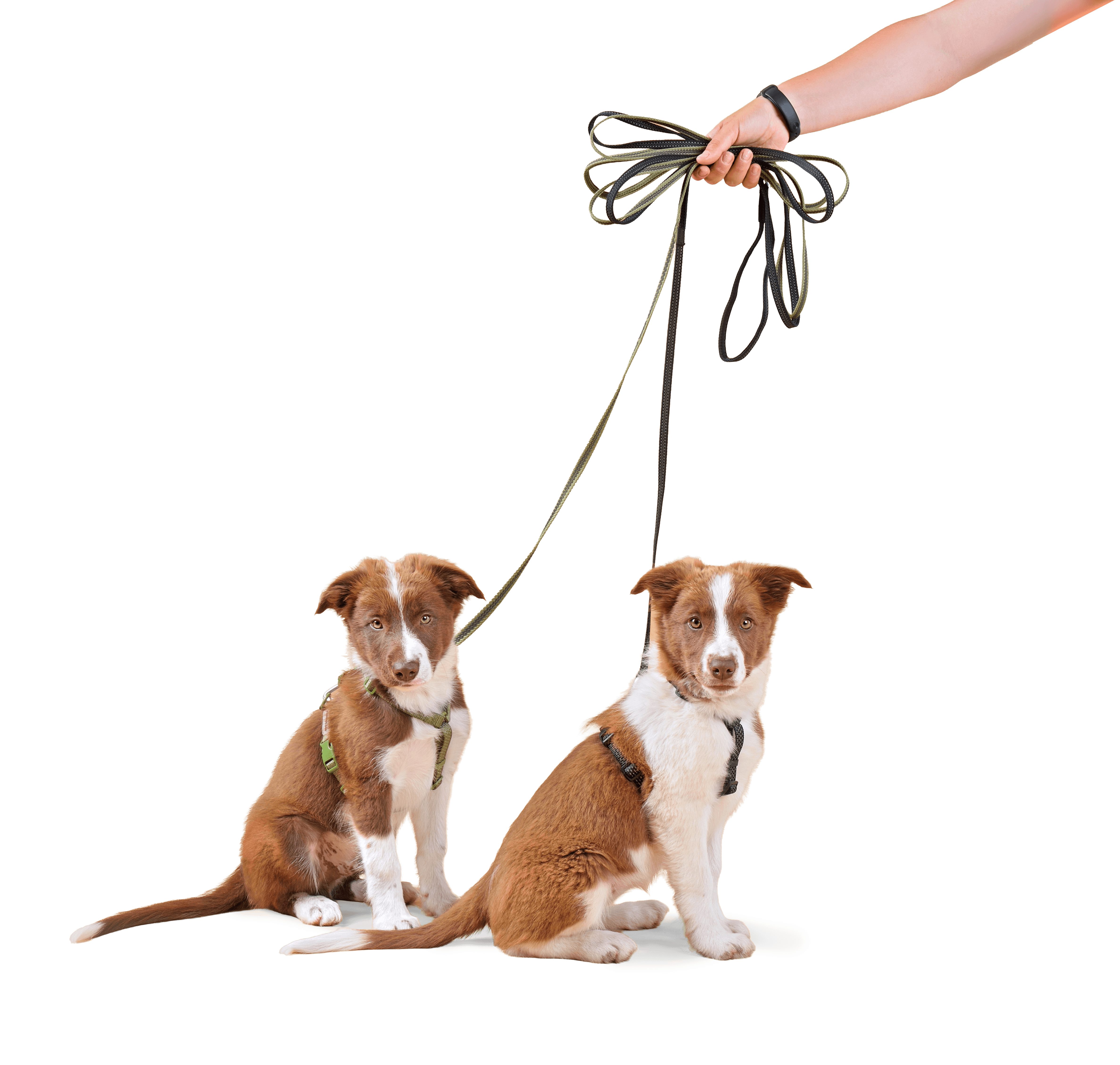 Happy Napo customer with their pet