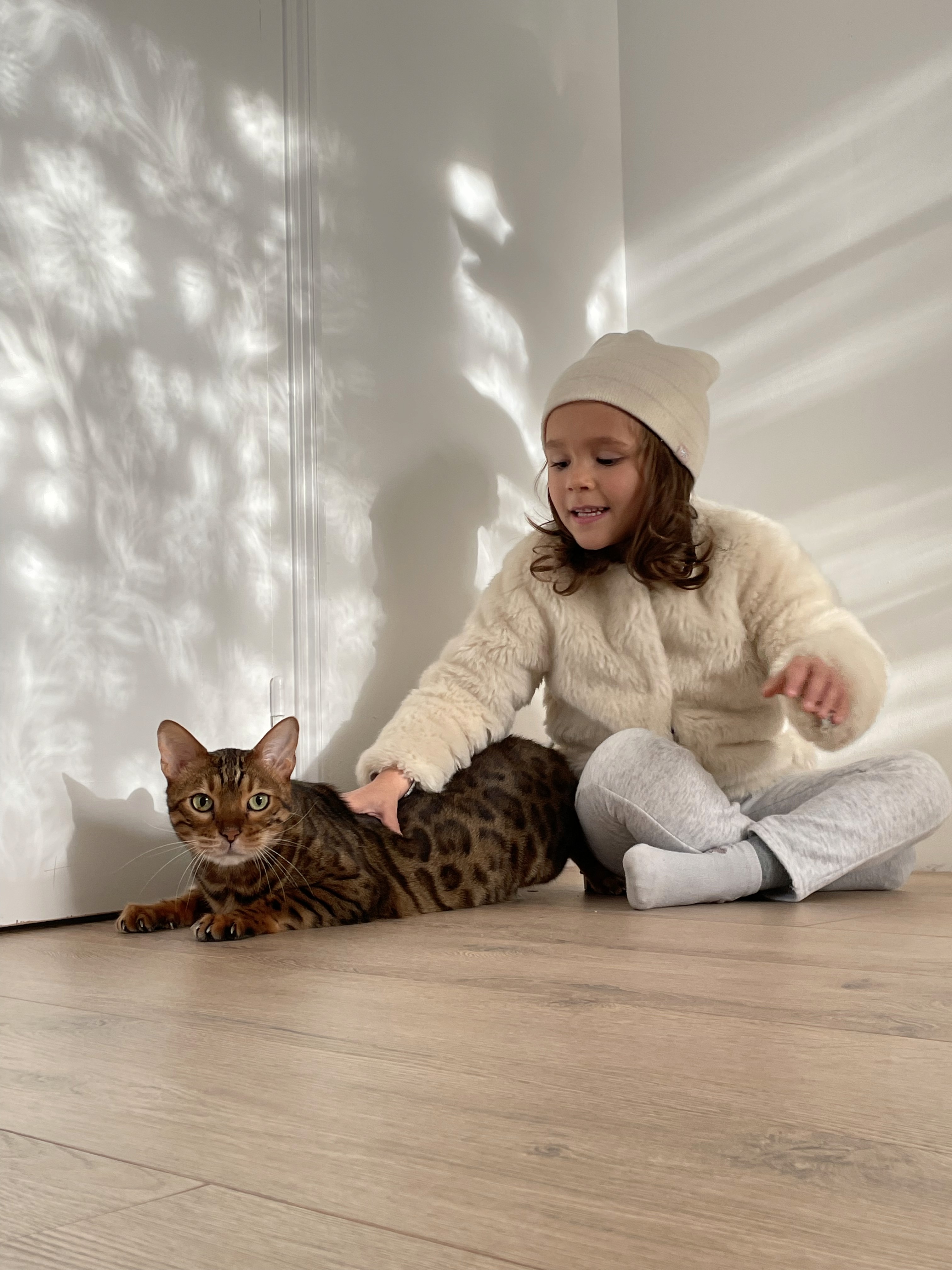 LUXO Floors Brisbane offers pet-friendly, easy-clean flooring that keeps Australian homes calm, safe, and beautiful.