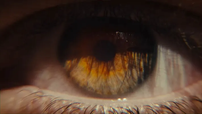 A close up view of an eye