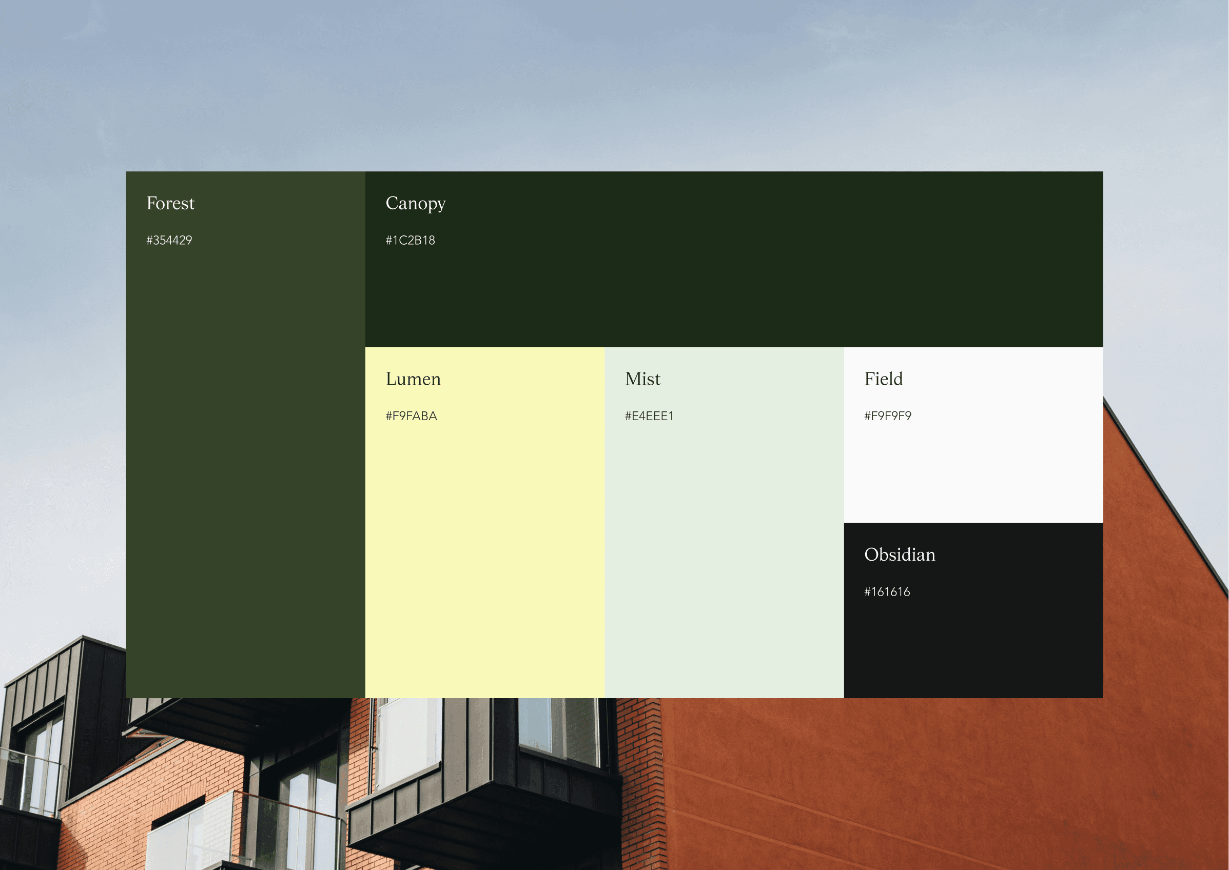 image of a group of people as a team 