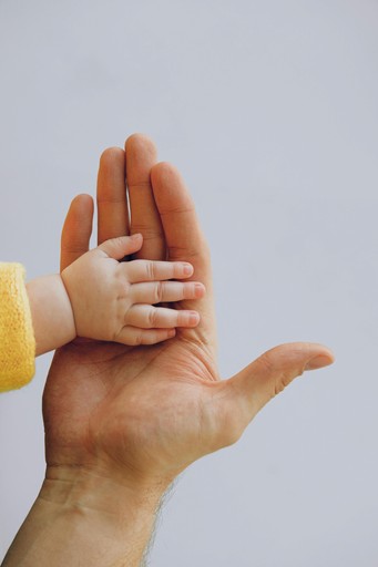 close-up of a small child and an adult holding hands.