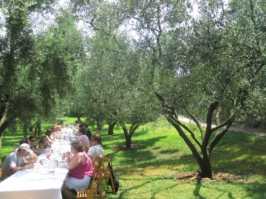 A photo of a green garden in which people sit at a table.