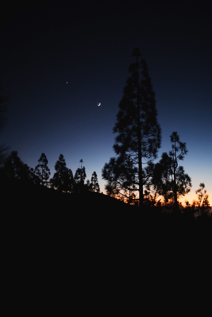 Background Image testimonial Section