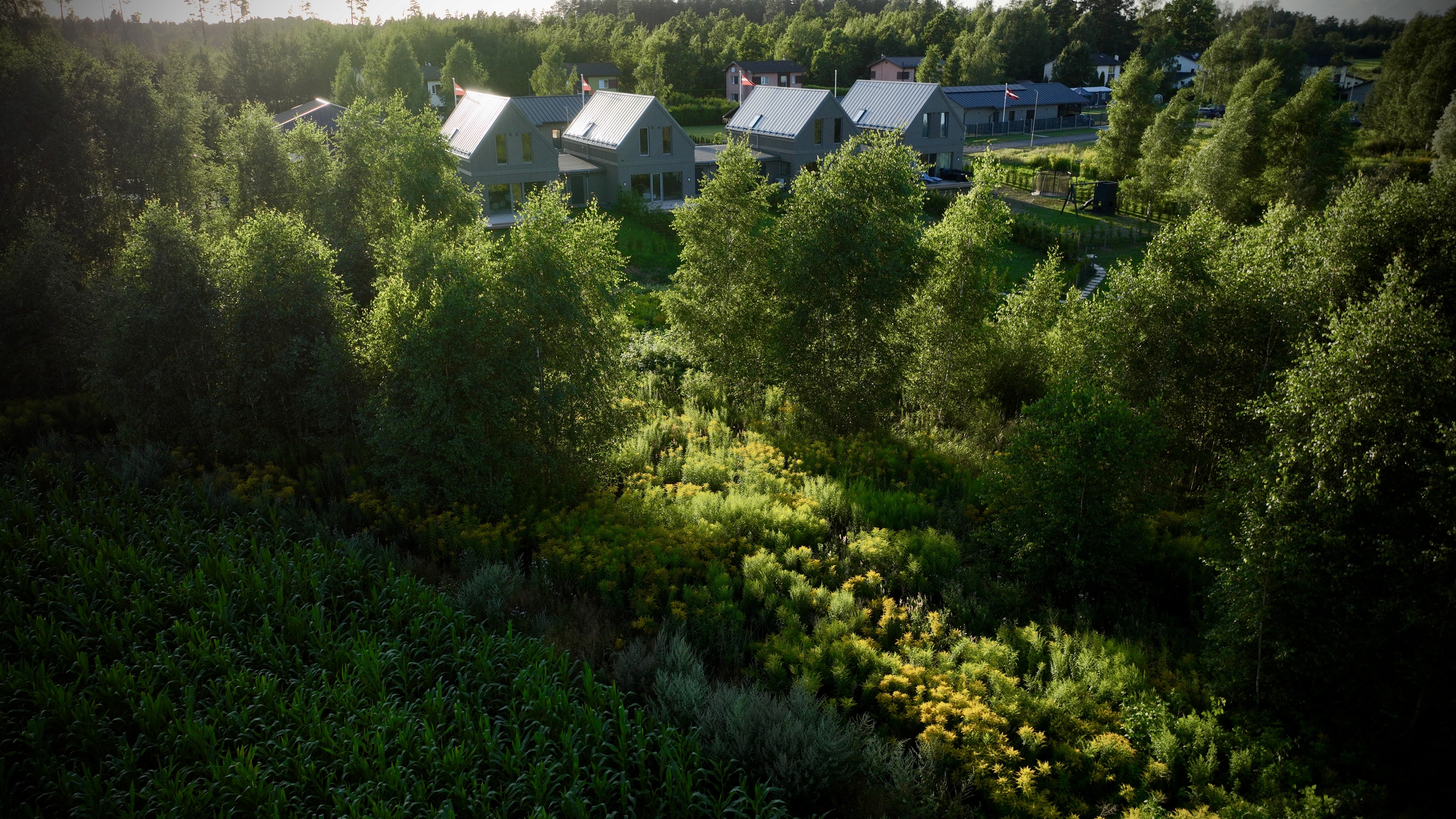 Aerial view of Priežavoti Village surrounded by greenery — sustainable real estate development by Grande Build in Latvia.