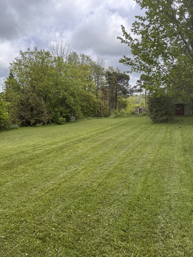 Landscaping works