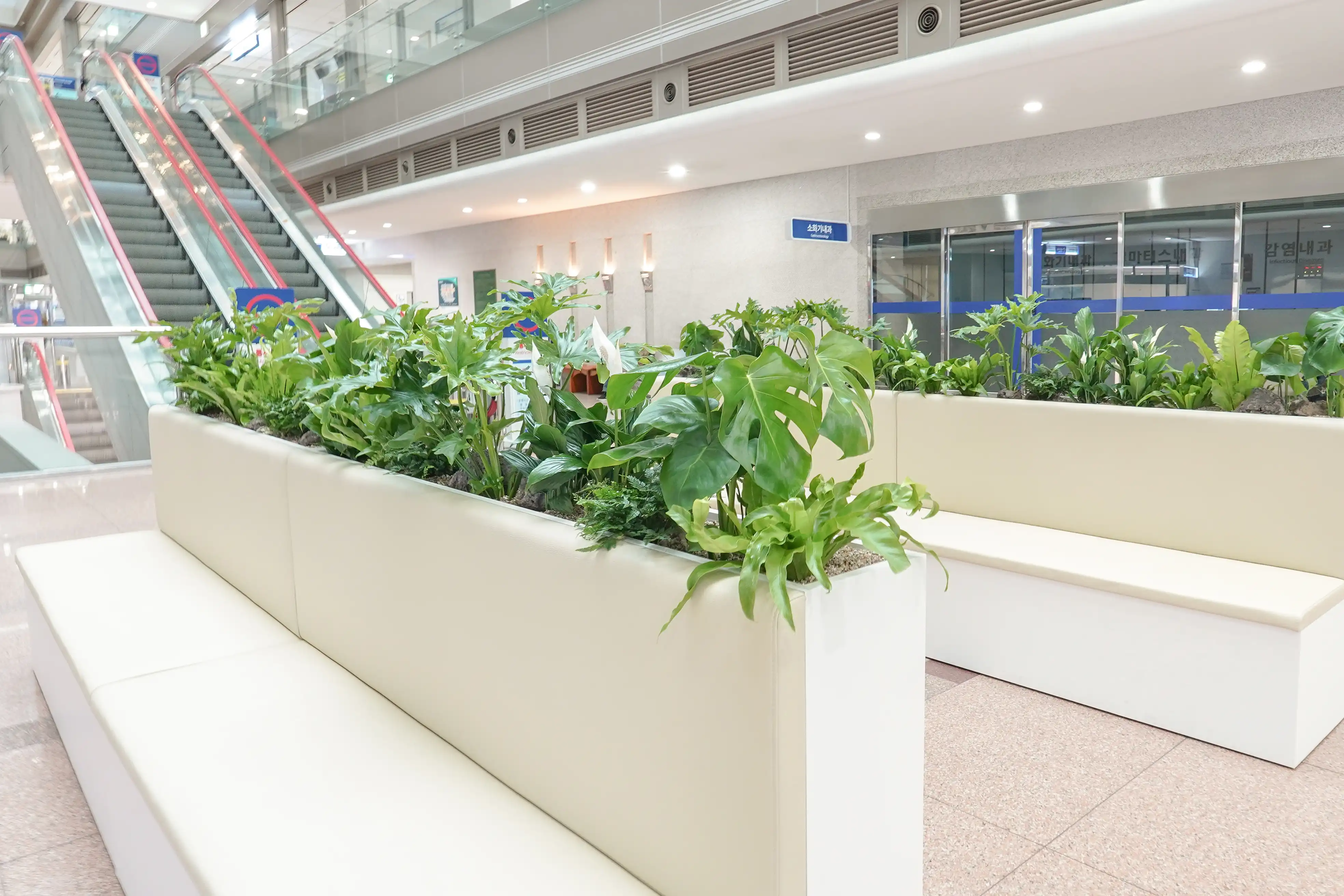 대형병원에 설치된 플랜테리어와 가구