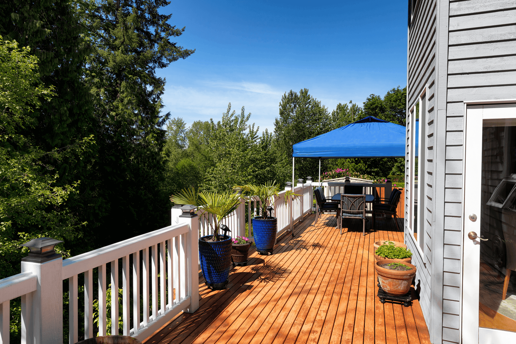 A large wooden deck with a warm natural finish, adorned with potted plants and a vibrant blue canopy. The deck is attached to a house and overlooks a wooded area with lush greenery.