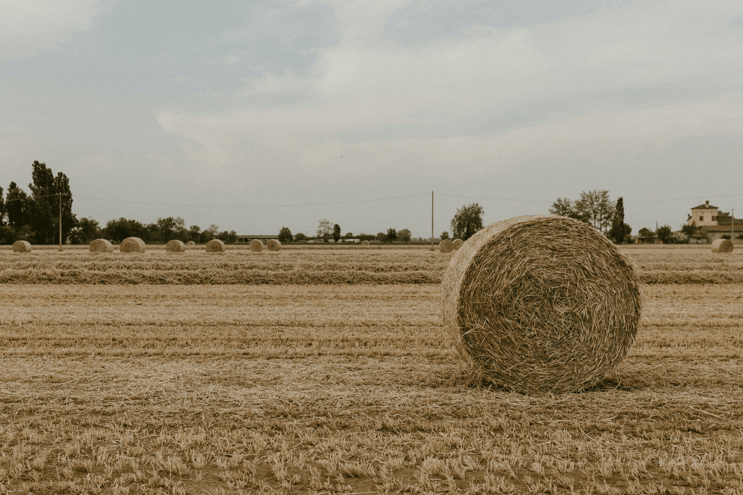 Large round hay bale in a harvested wheat field representing the raw materials used in Strawtown compressed straw panels