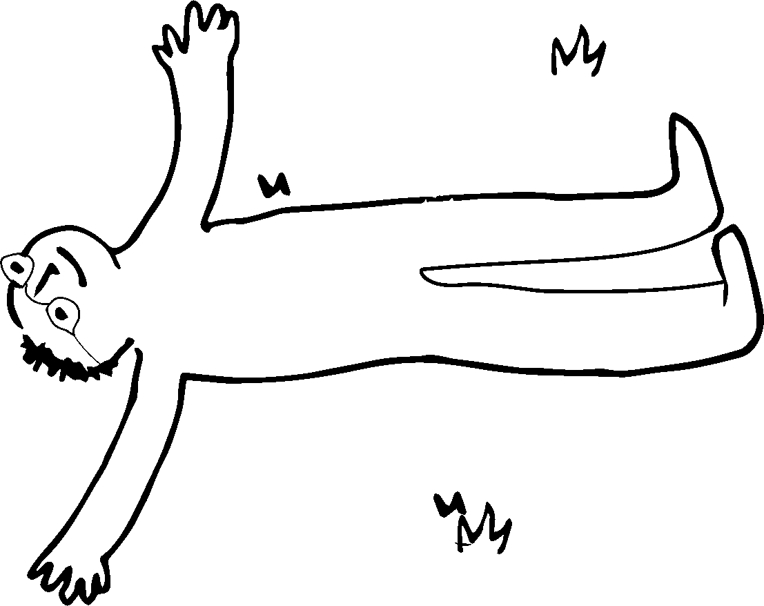 Decorative Graphic