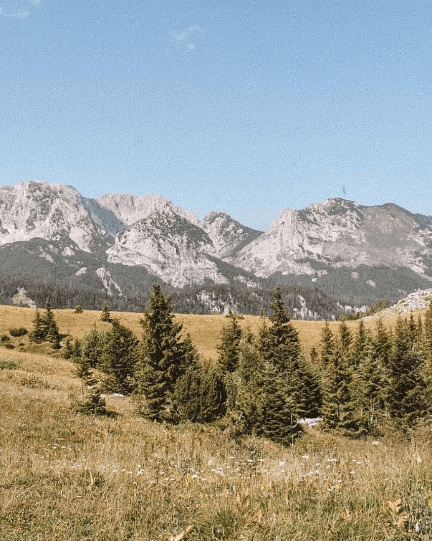 foggy mountain summit