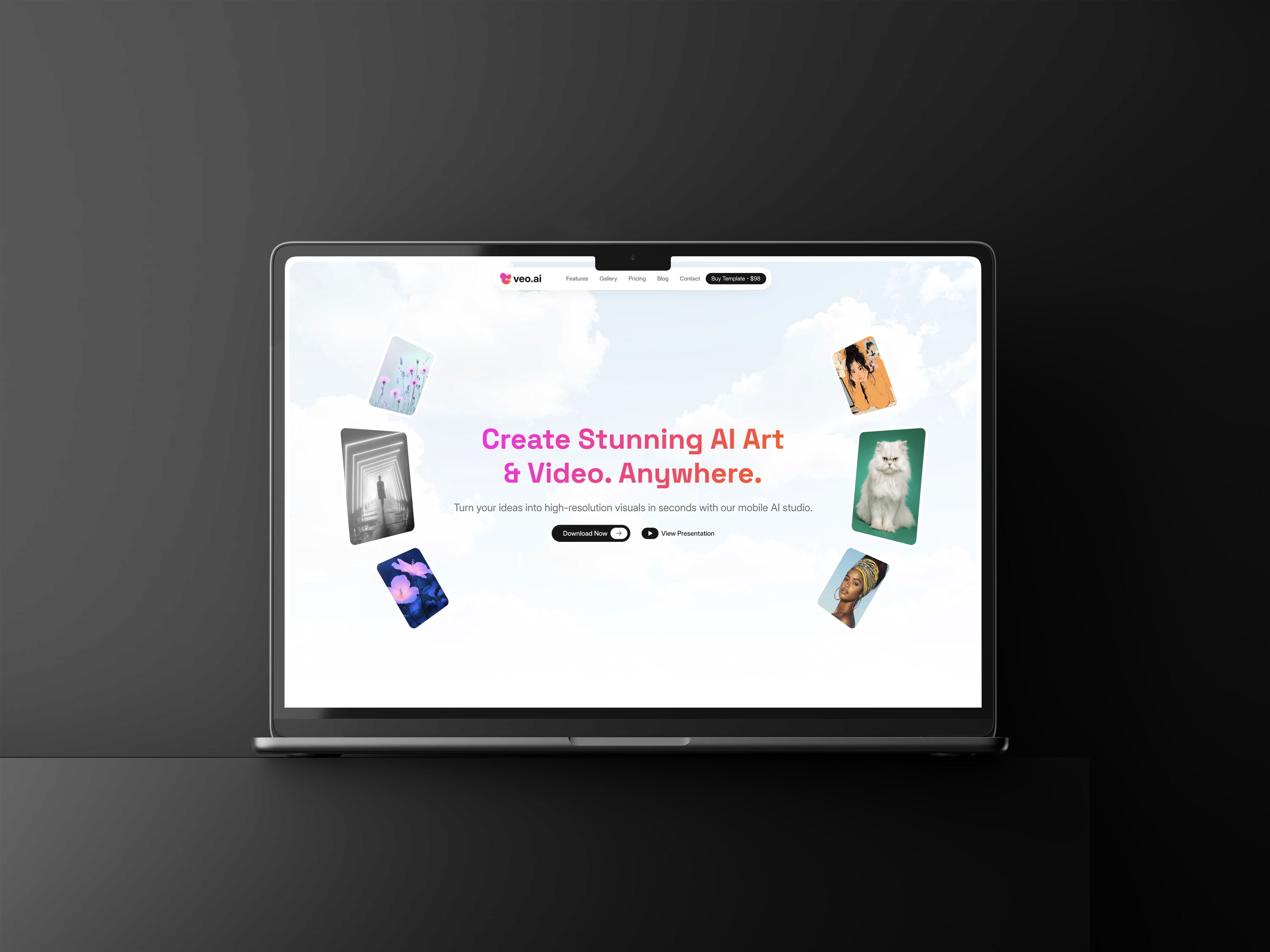 Veo screen