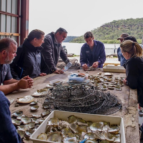 人们在靠近湖泊并被森林环绕的山丘中的小屋里，查看桌子上的贝壳和渔网。