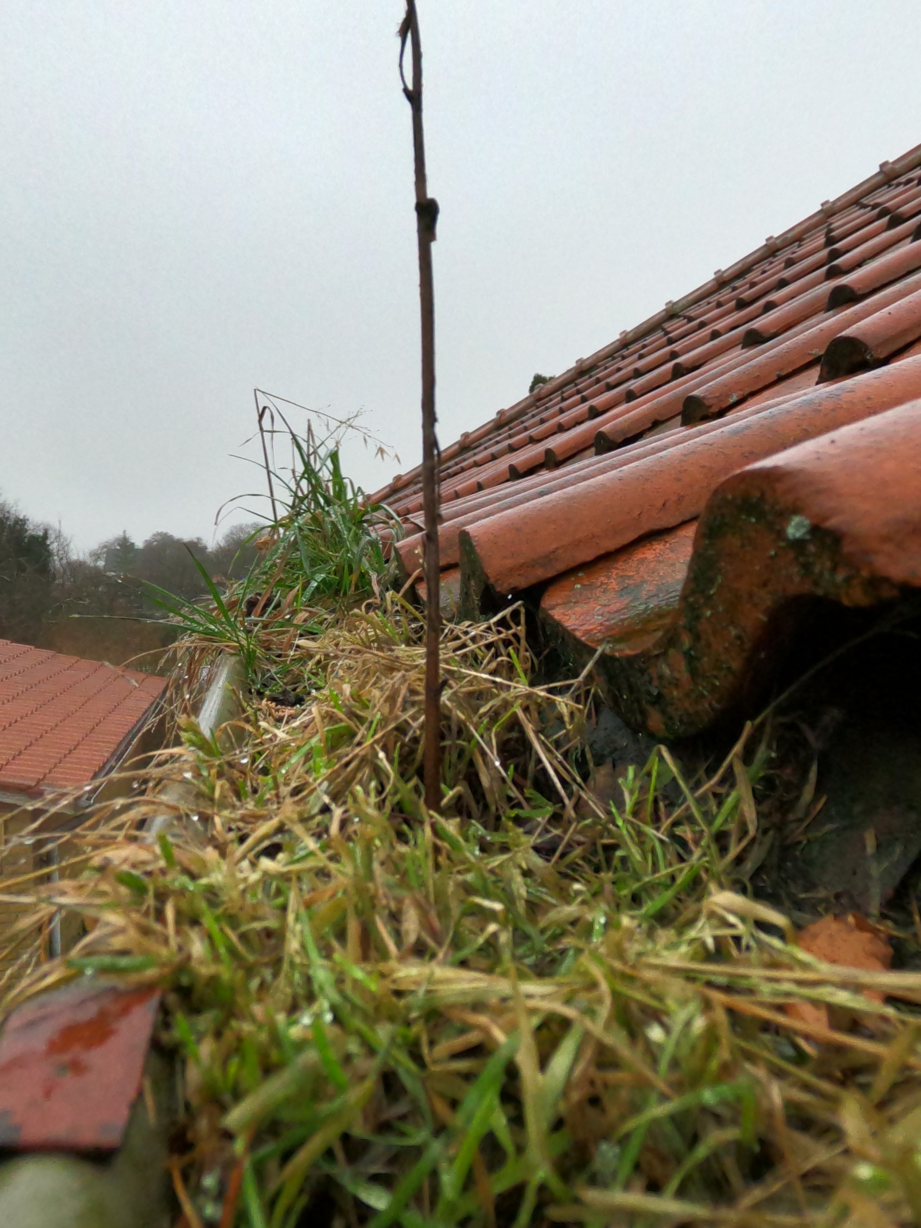 Aquafix, Rensa hängrännor i Stockholm
