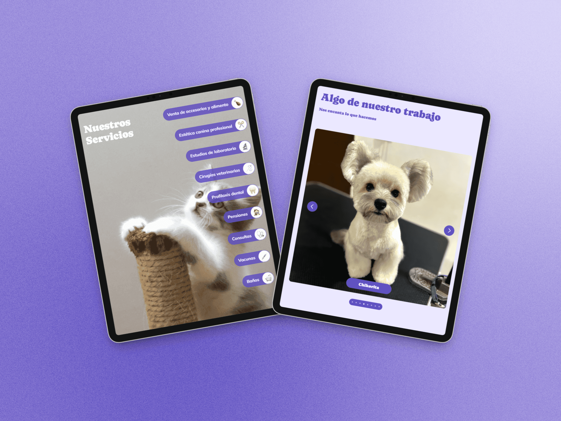 3 iPhones displaying the responsiveness of the website Compadre