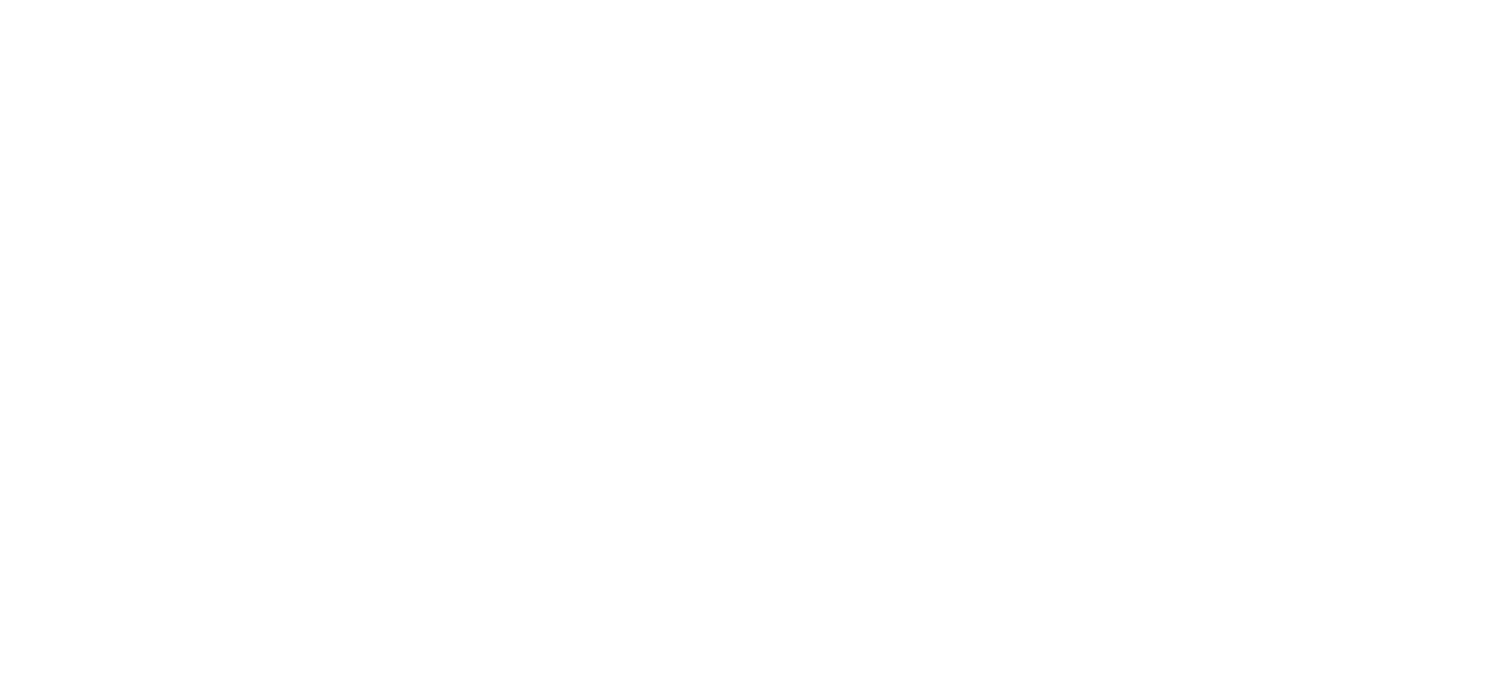 World map in white