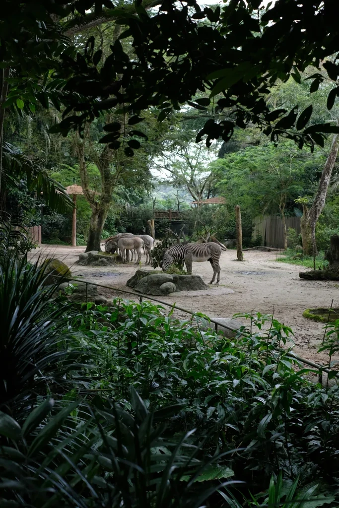 The image featured in the middle of the about us page