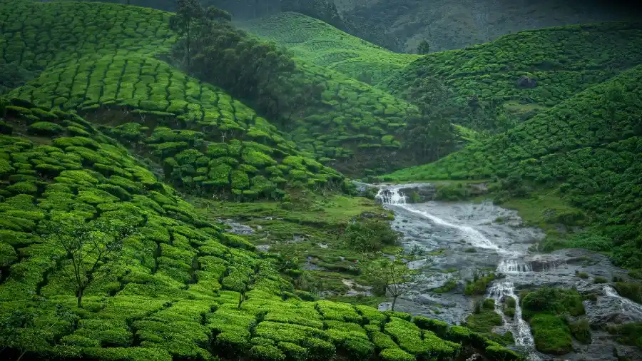 Munnar 
