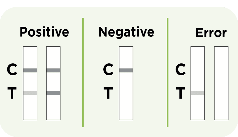 Mold test results shown on a Test Cassette