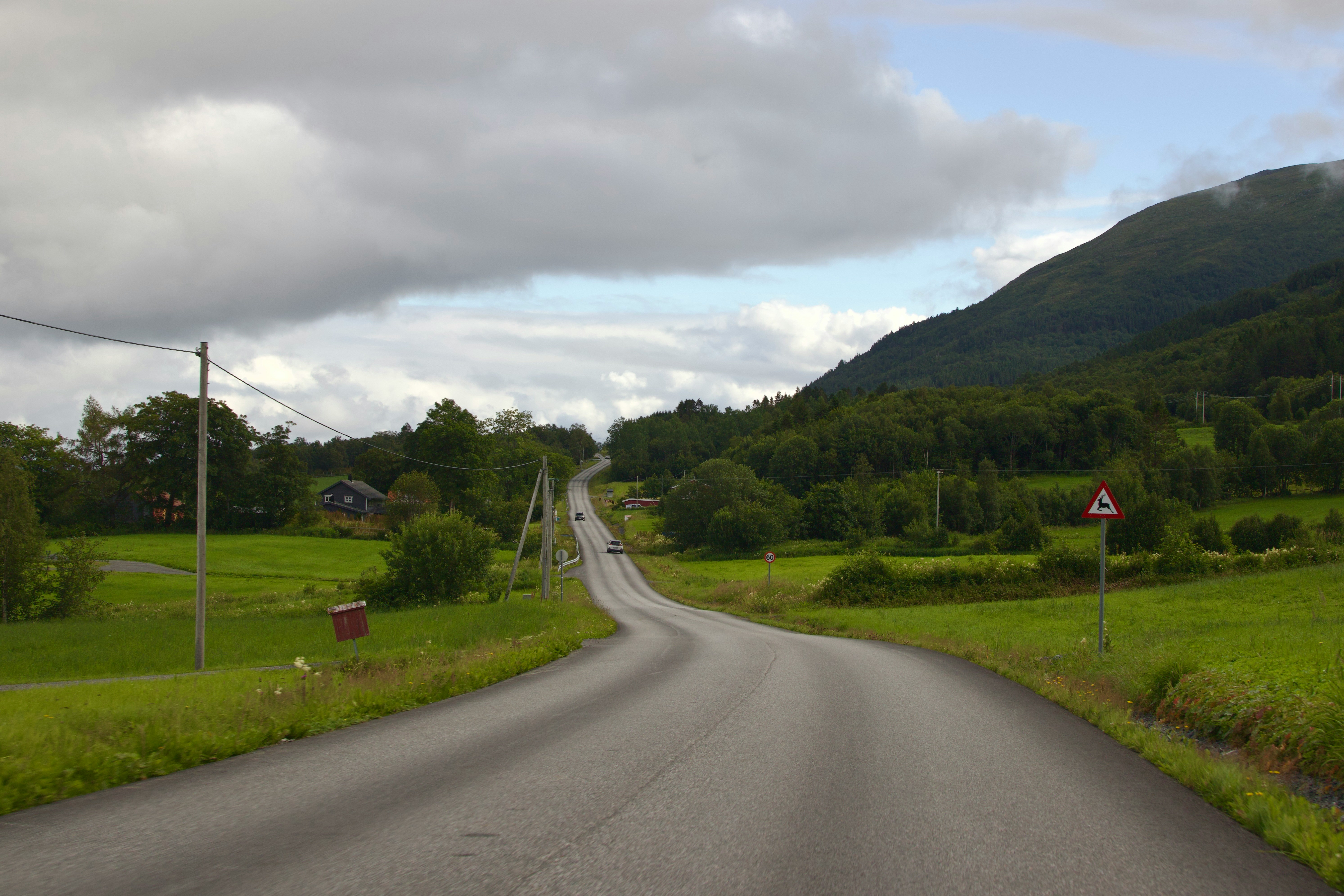 a road in the middle of a lush green field